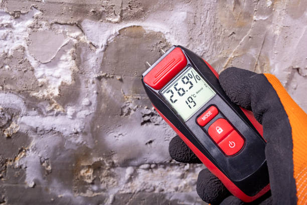 Best Home Mold Removal  in Hughestown, PA