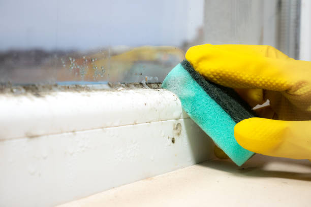 Best Mold Testing  in Hughestown, PA