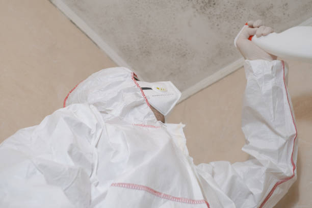 Office Mold Removal Services in Hughestown, PA