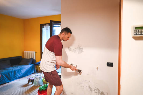 Best Mold Damage Repair  in Hughestown, PA