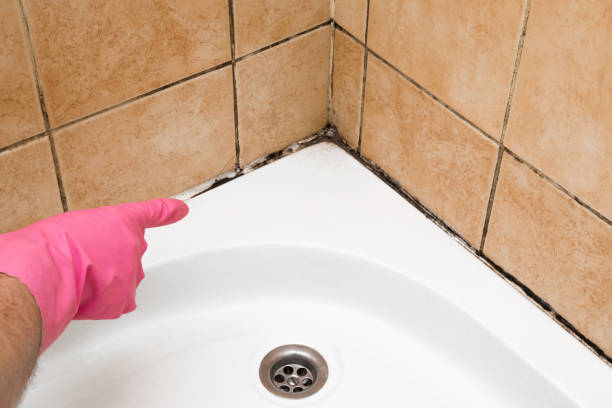 Best Mold Removal Near Me  in Hughestown, PA